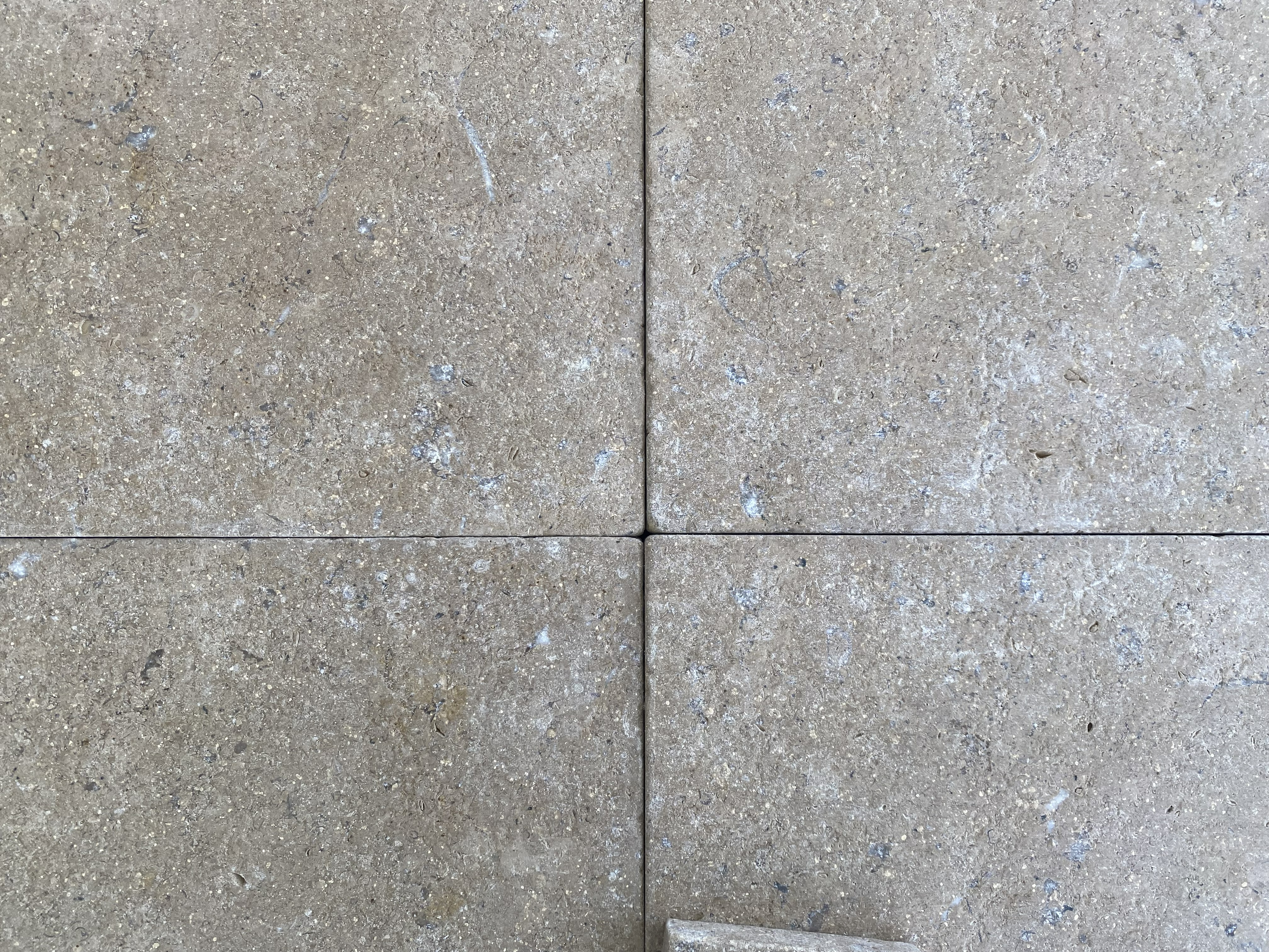 Sinai Pearl - Detail